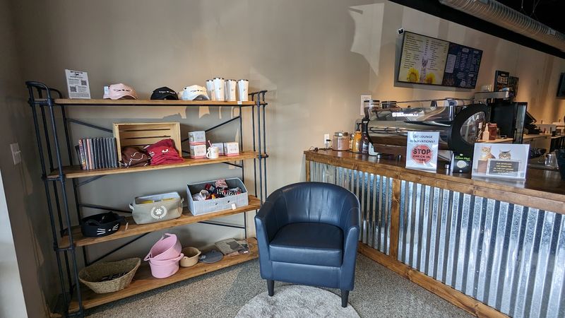 A True Community Gathering Spot in the Heart of Fishers