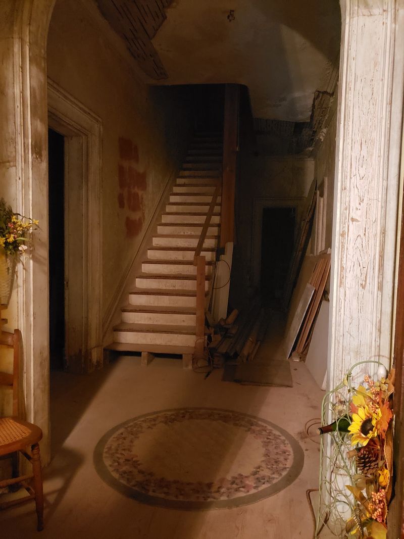 A Woman Descending the Staircase