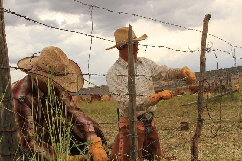 A Working Cow Ranch, Not A Theme Park Version Of One