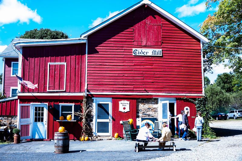 A Working Farm That Never Went Theme Park A Working Farm That Never Went Theme Park