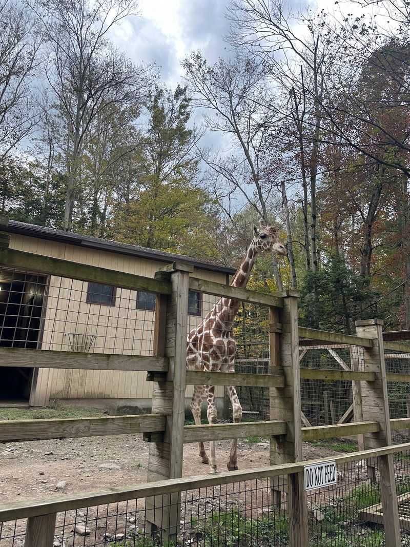 A Zoo Tucked Into the Pocono Woods