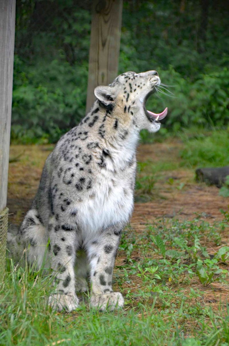 A Zoo with a Magical Feel