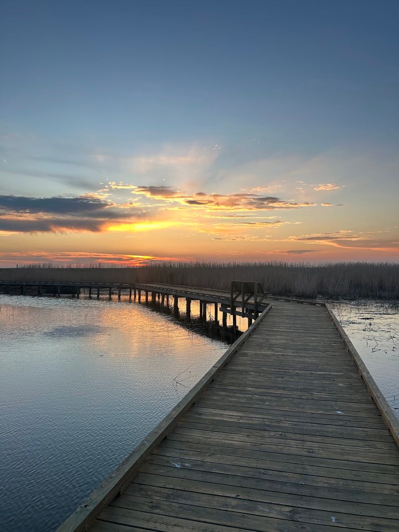 A boardwalk built for unhurried moments