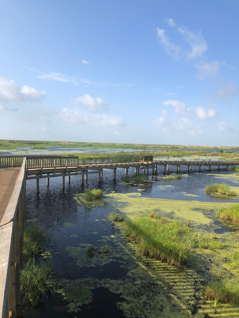 A protected coast with a meaningful name