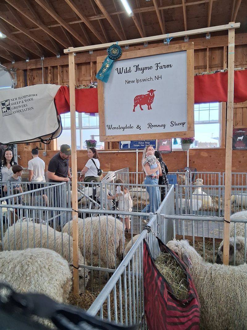 Agricultural Wonders, Where Farm Life Takes Center Stage Agricultural Wonders, Where Farm Life Takes Center Stage