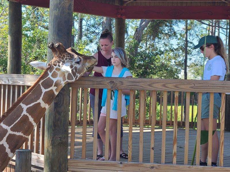 Alabama Gulf Coast Zoo, The Little Zoo That Could Alabama Gulf Coast Zoo, The Little Zoo That Could