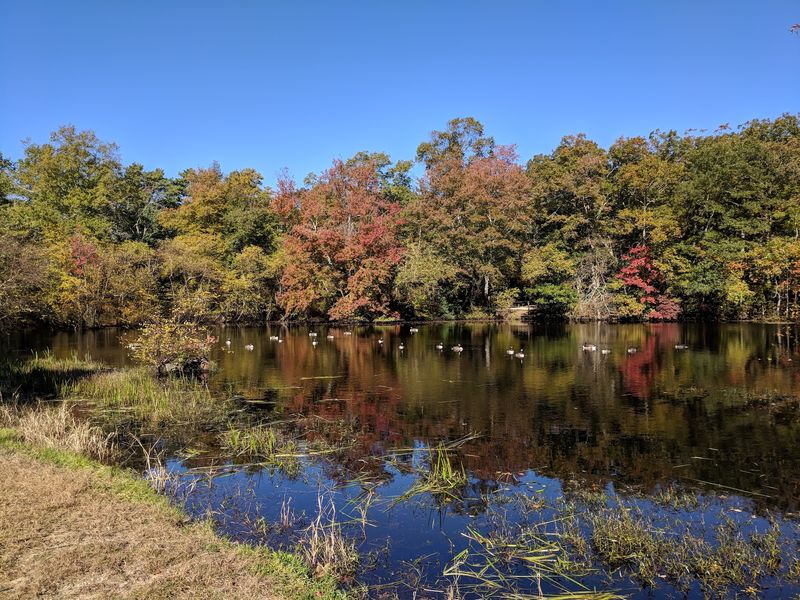 Allaire State Park Allaire State Park