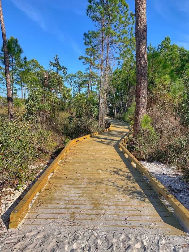 Alligator Creek Nature Trail In Gulf Shores Alligator Creek Nature Trail In Gulf Shores