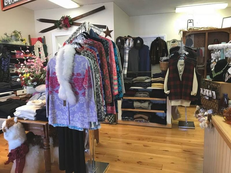 Alpaca Fiber: From Fluffy Fleece to Luxury Products