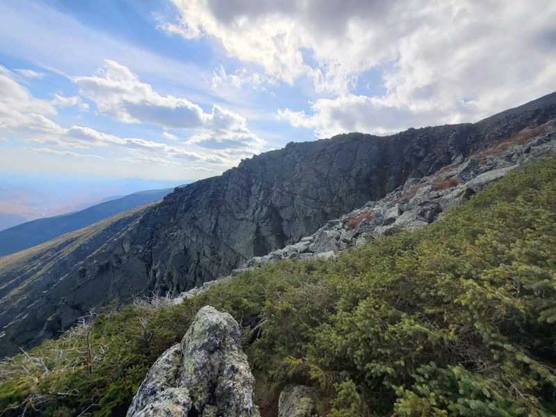 Alpine Garden Rewards Above The Cliffs