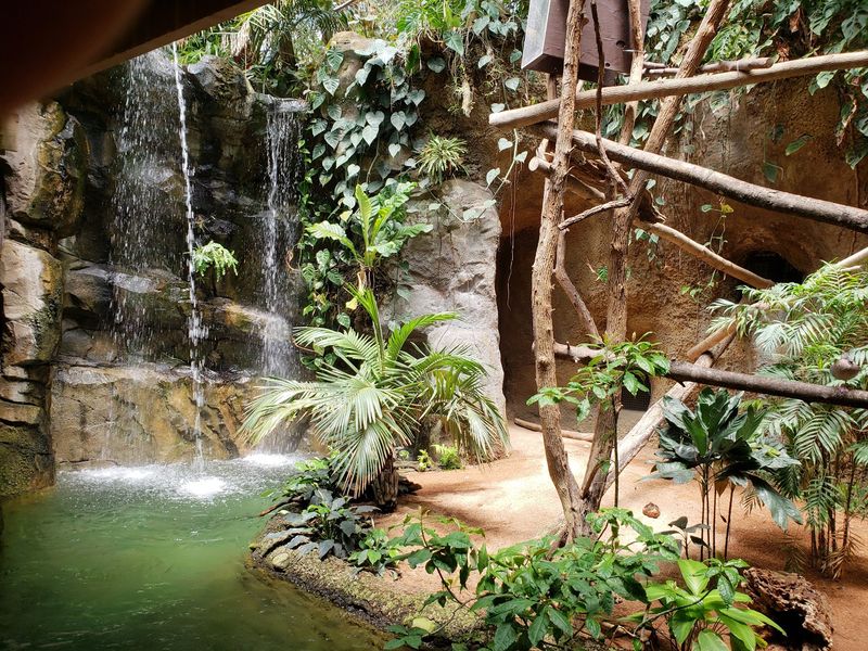 Amazonia Turns Up The Humidity