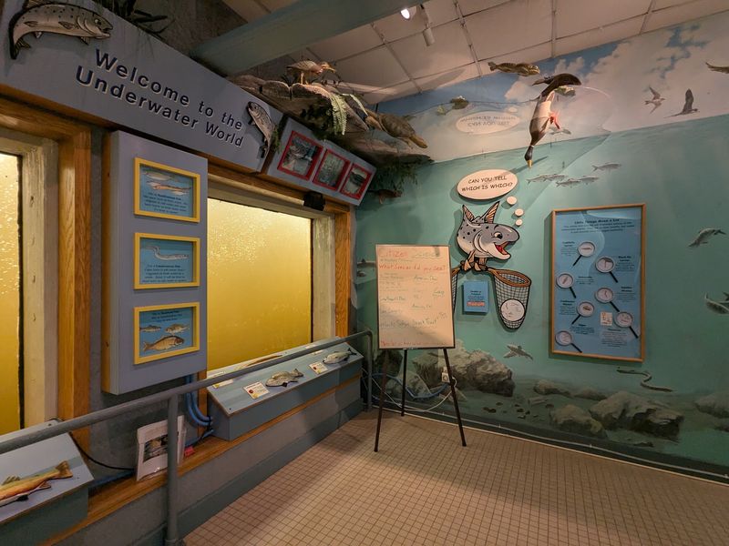 Amoskeag Fishways Learning and Visitors Center