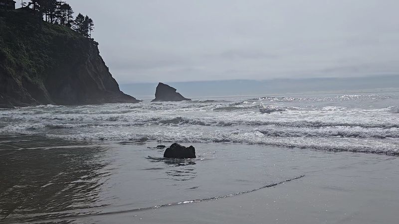 An Ancient Forest That Only Shows Up at Low Tide An Ancient Forest That Only Shows Up at Low Tide