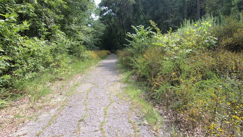 An Easy Quarter-Mile Walk Almost Anyone Can Manage