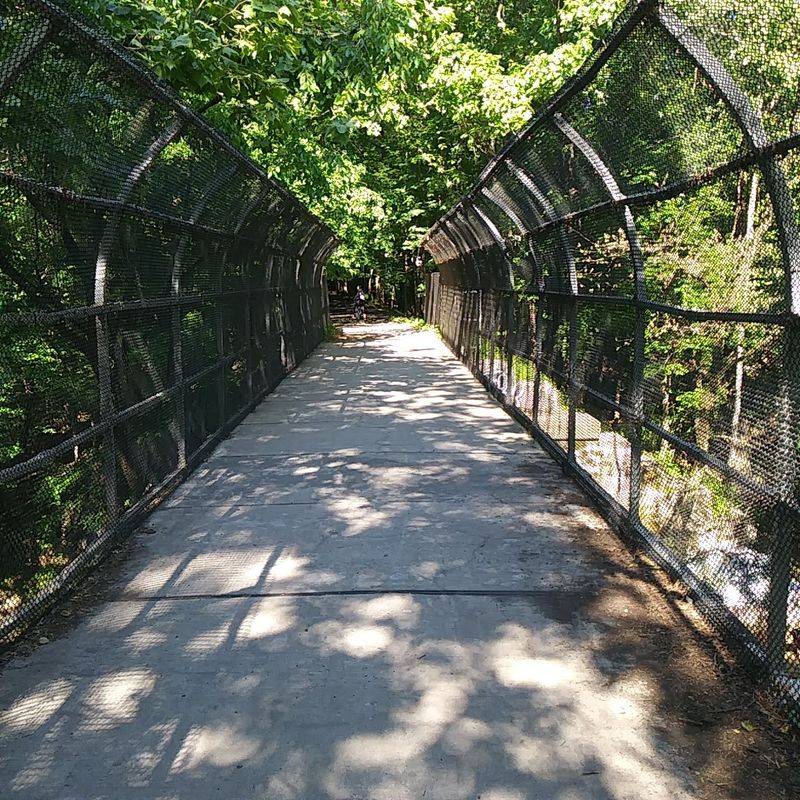 An Easygoing Summer Walk