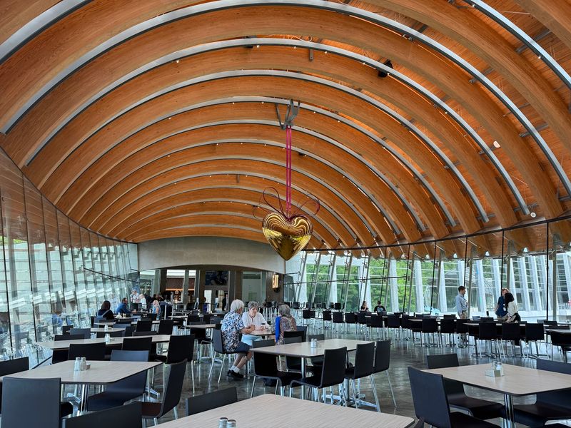An Elevated Cafe With Nothing But Treetops Out the Window
