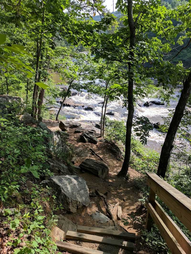 Ancient Rock, Mountain Plants, and the Fault Beneath It All