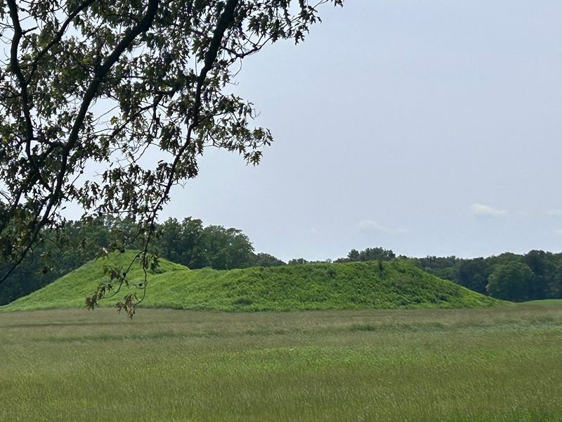 Angel Mounds State Historic Site, Evansville