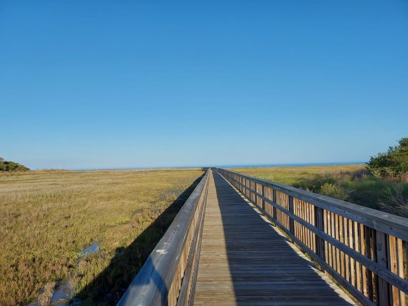 Aransas National Wildlife Refuge Boardwalk Aransas National Wildlife Refuge Boardwalk