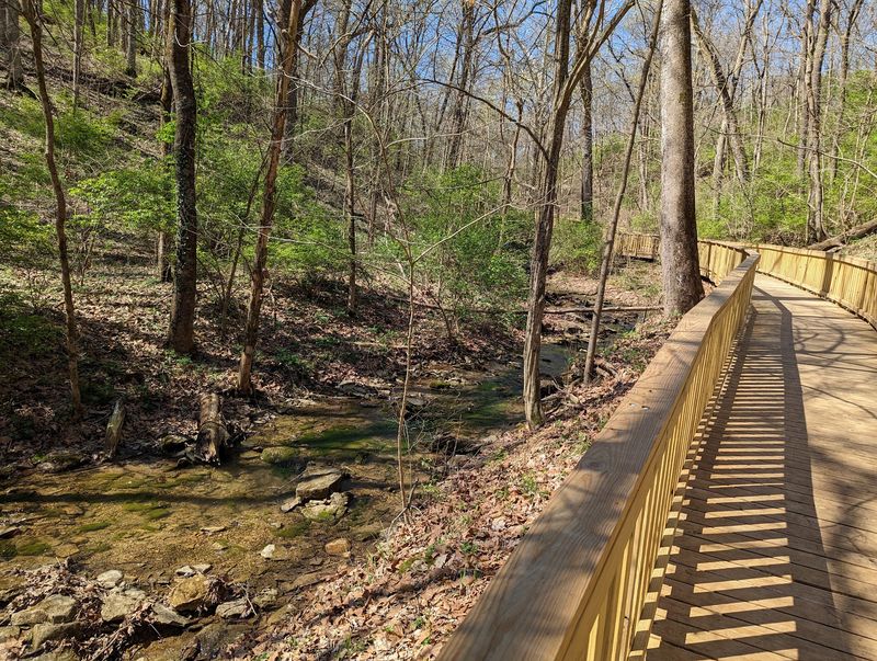 Are You Ready To Discover Cascades Creek and Beyond