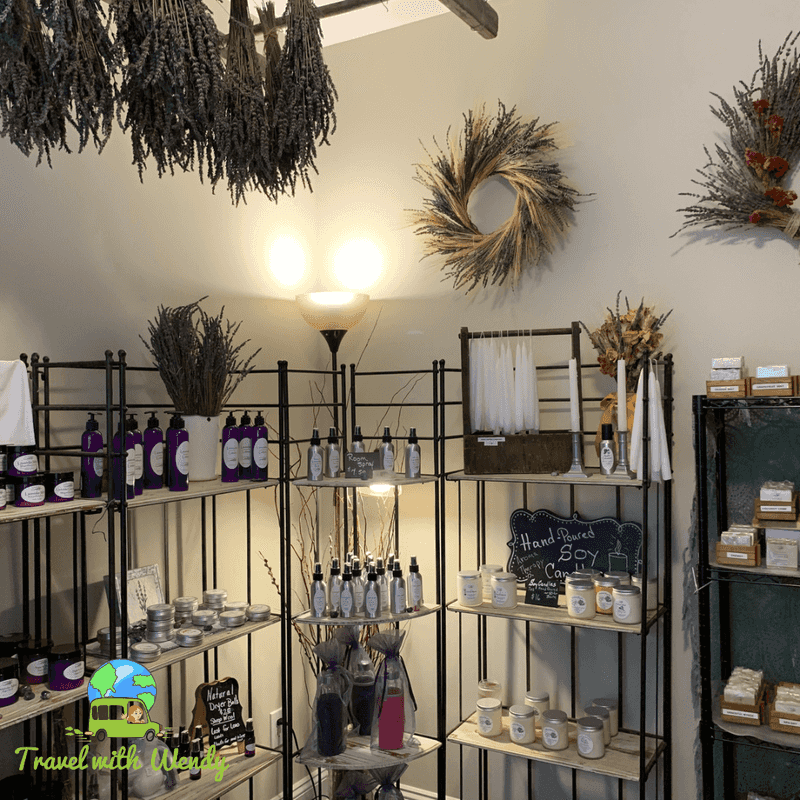 Are You Ready To Discover What Is Inside That Quaint Little Shop Are You Ready To Discover What Is Inside That Quaint Little Shop