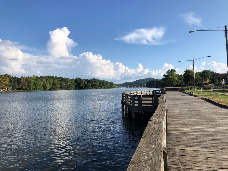 Are You Ready To Discover the Coosa River's Quiet Side Are You Ready To Discover the Coosa River's Quiet Side