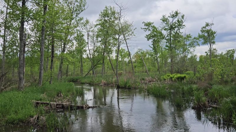 Are You Ready To Explore Meadowbrook Nature Preserve Are You Ready To Explore Meadowbrook Nature Preserve