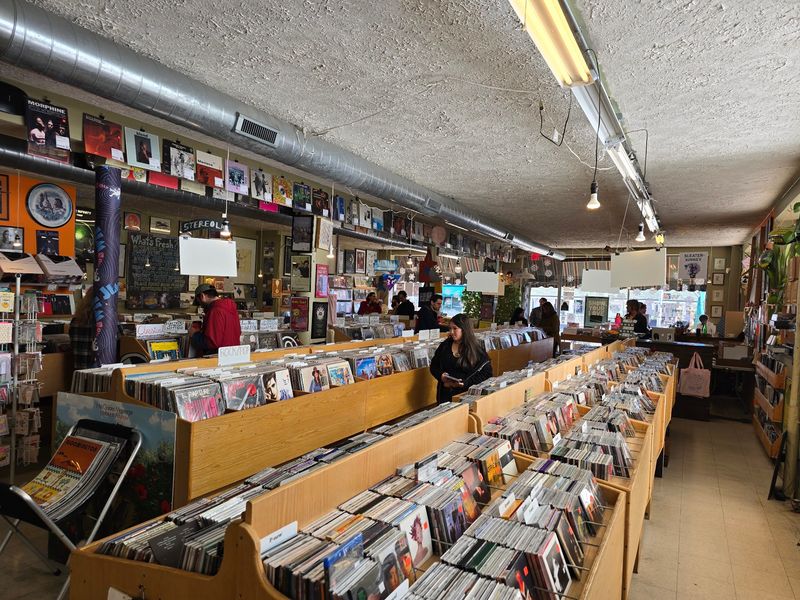 Are You Ready To Find Your Next Favorite Record Here