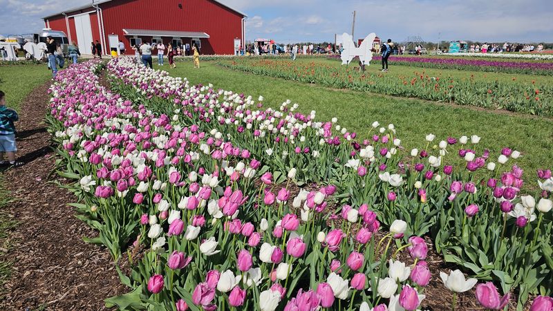 Are You Ready To See Indiana in Full Bloom