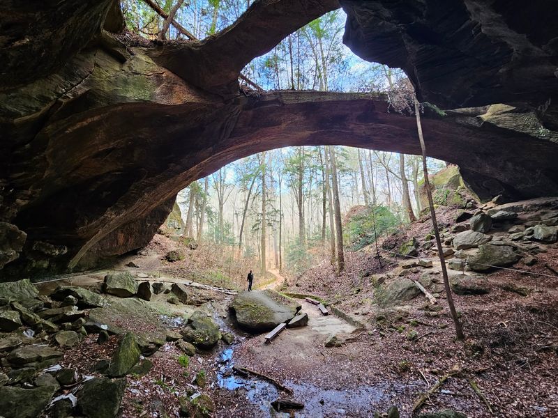 Are You Ready to Discover This Hidden Gem in Alabama Are You Ready to Discover This Hidden Gem in Alabama
