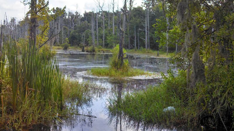 Are You Ready to Experience One of the Last Great Places on the Gulf Coast