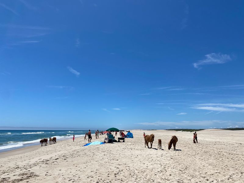 Assateague Island National Seashore Assateague Island National Seashore