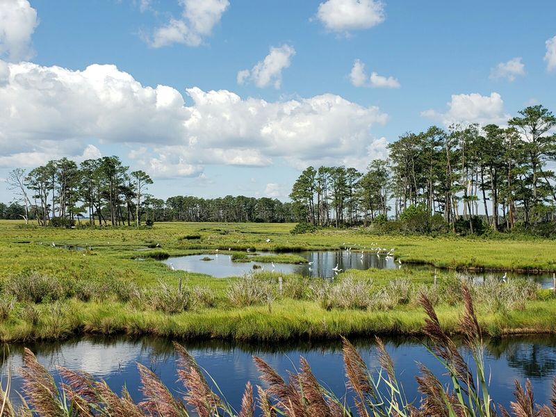 Assateague Island National Seashore Assateague Island National Seashore