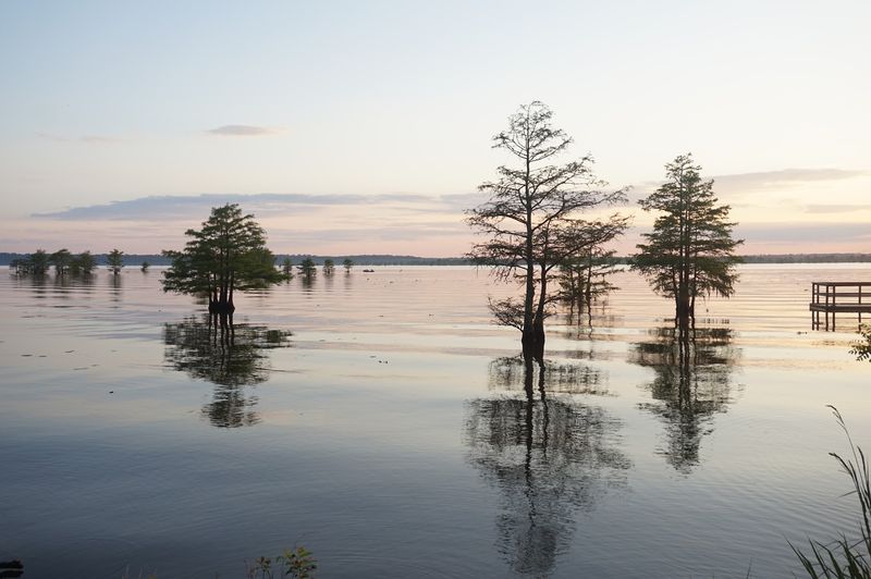 B.A. Steinhagen Lake