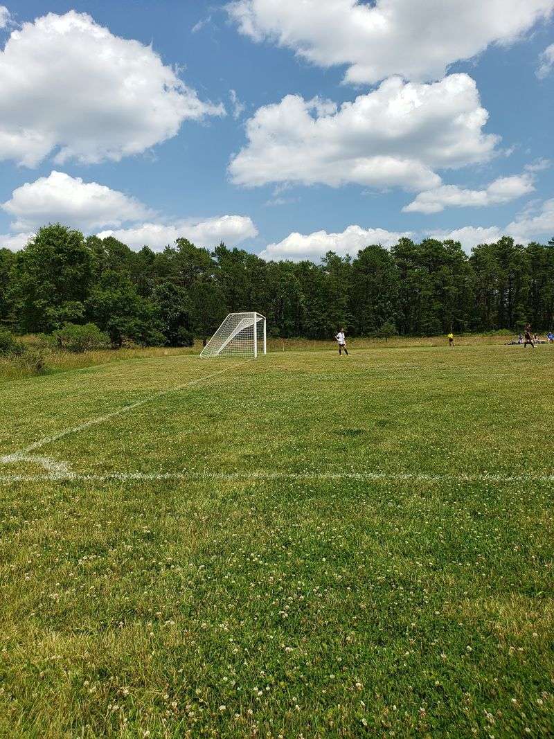 Ball Fields And Courts For The Sporty Side Of The Visit
