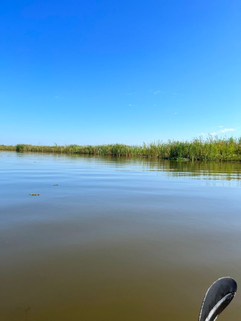 Bartram Canoe Trail Through The Mobile-Tensaw Delta Bartram Canoe Trail Through The Mobile-Tensaw Delta
