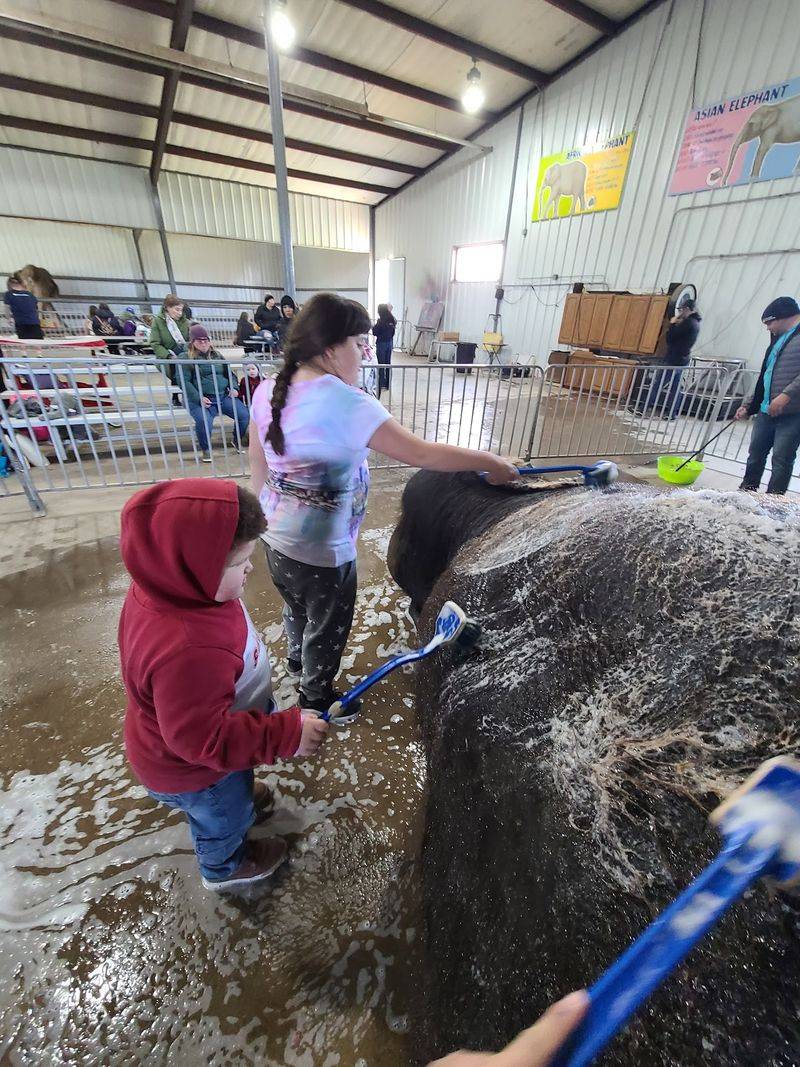 Bath Time, Pedicures, And Daily Care Bath Time, Pedicures, And Daily Care