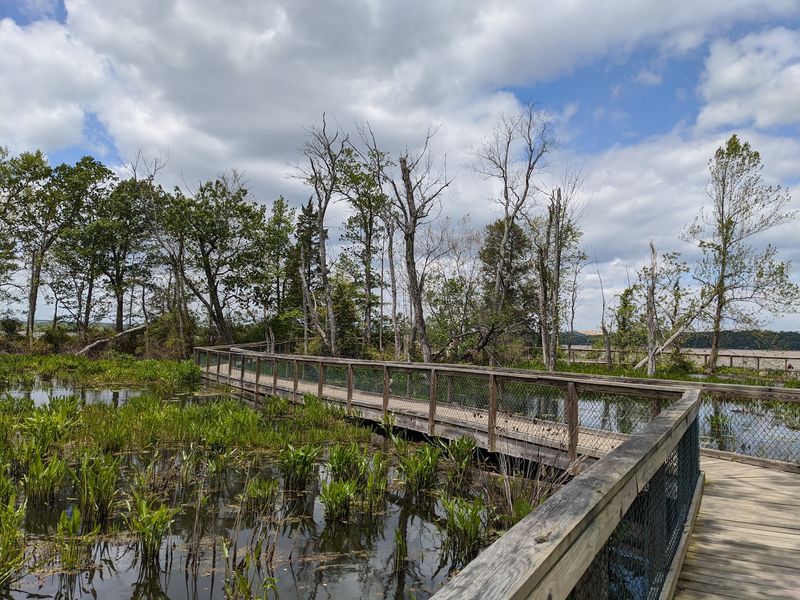 Bay View Trail at Mason Neck State Park, Lorton