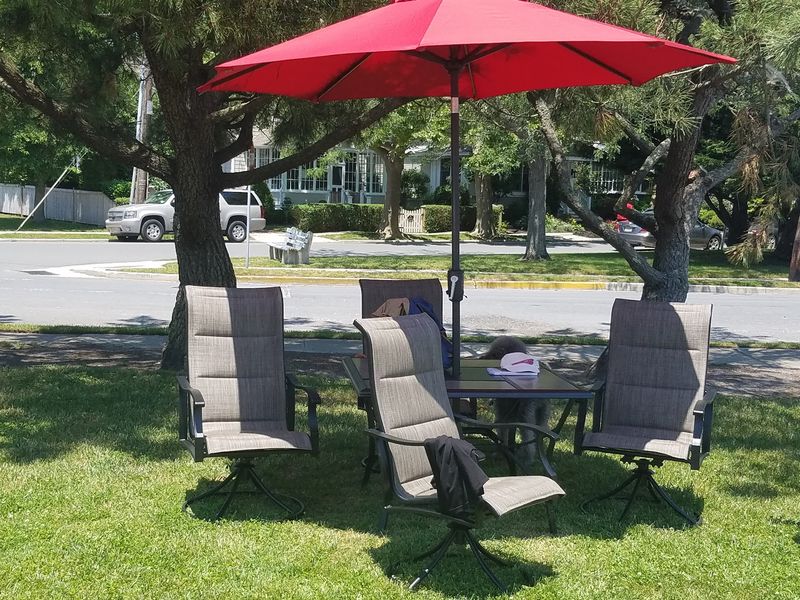 Beach Chairs and Trolley Service, a Thoughtful Seasonal Touch