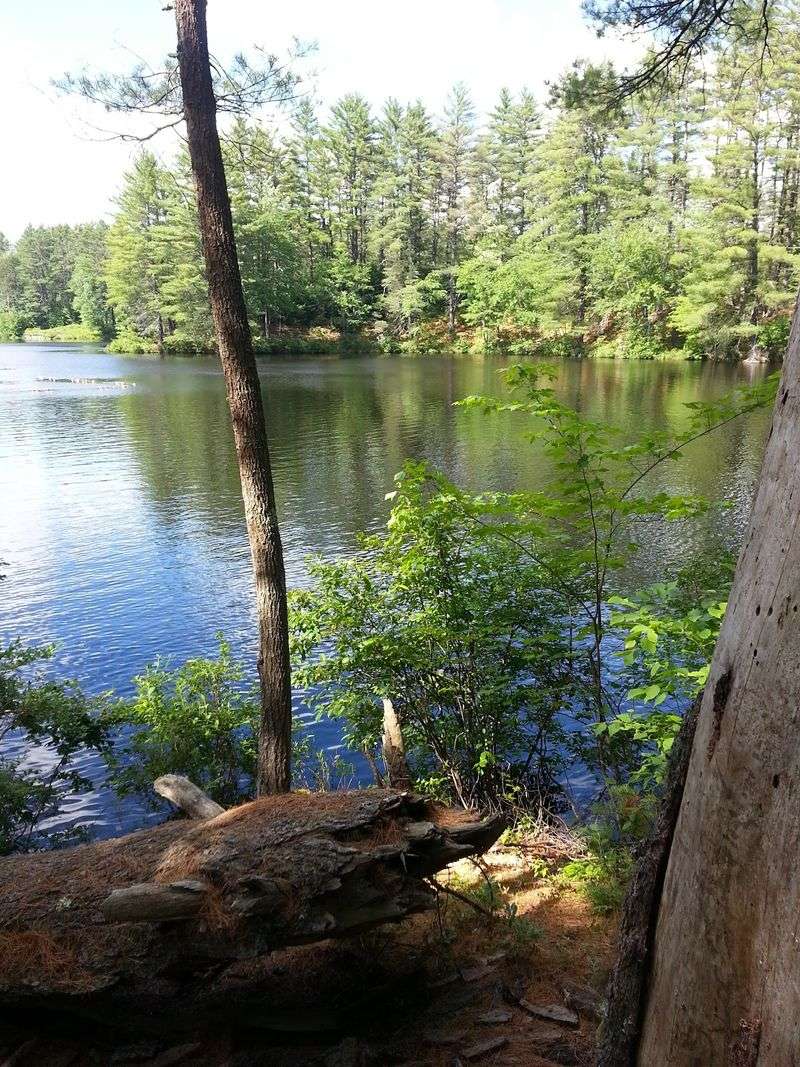Bear Brook State Park (Allenstown/Hooksett) Bear Brook State Park (Allenstown/Hooksett)
