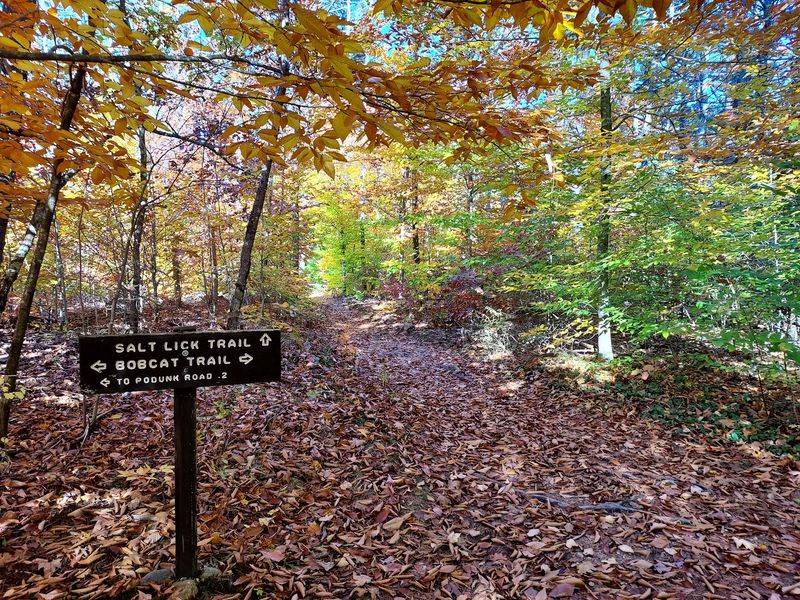 Bear Brook State Park