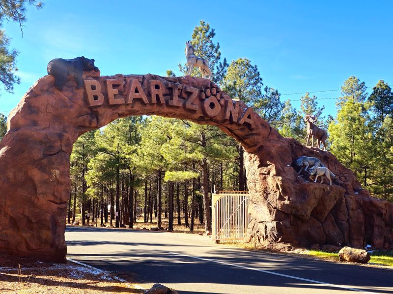 Bearizona, Williams