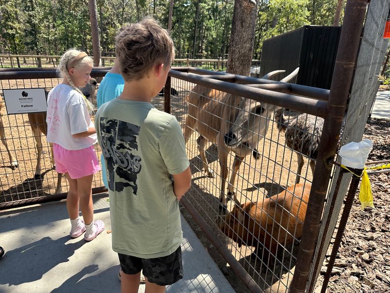 Beavers Bend Safari Park Brings Curiosity To The Road Beavers Bend Safari Park Brings Curiosity To The Road