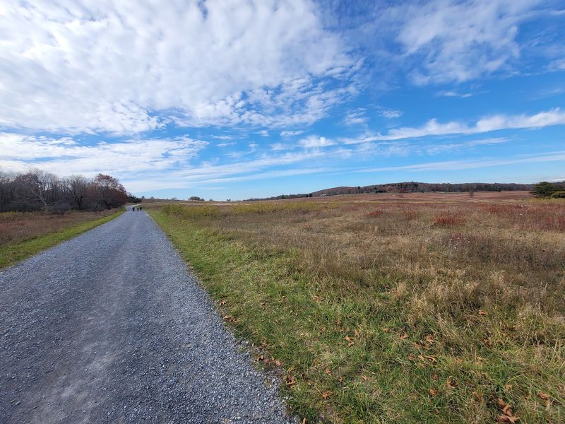 Big Meadows and the Magic of Open Mountain Space