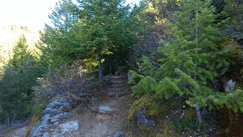 Big Tree Trail and Cliff Nature Trail Above the Cave
