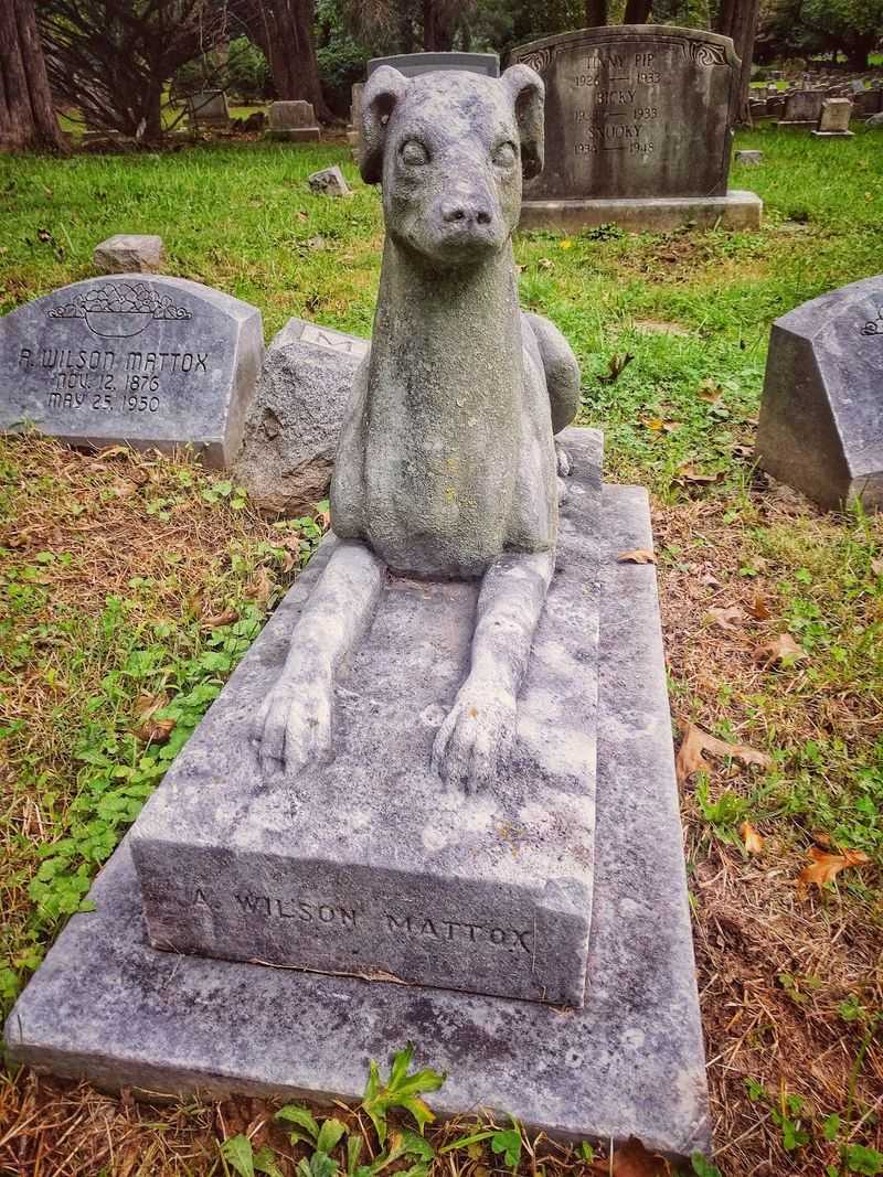 Birdland, Medical Rats, and the Graves Nobody Expects