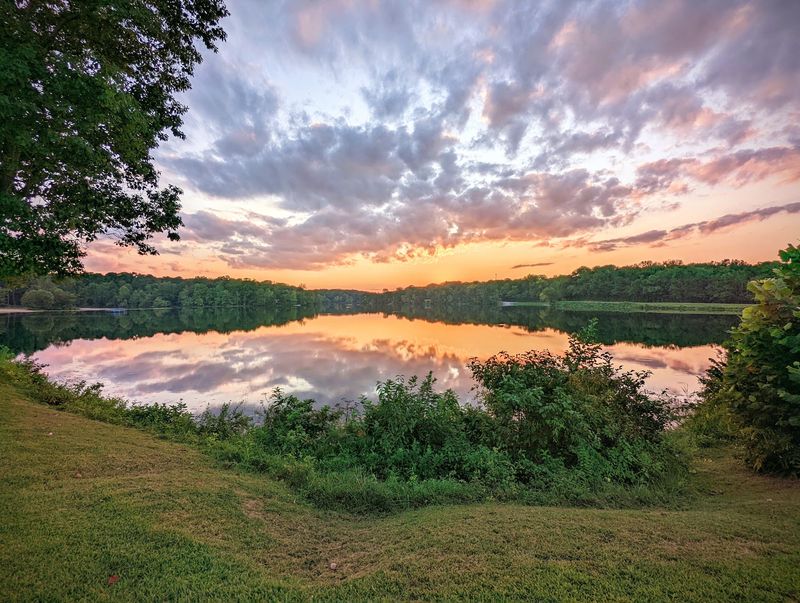 Birdsong, Bald Eagles, And Long Quiet Afternoons