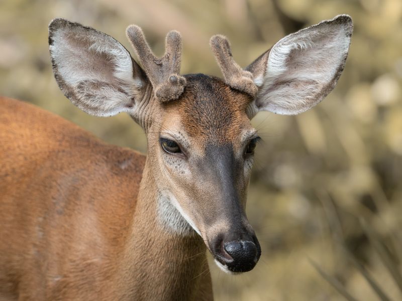 Birdwatching and Wildlife That Will Genuinely Surprise You Birdwatching and Wildlife That Will Genuinely Surprise You