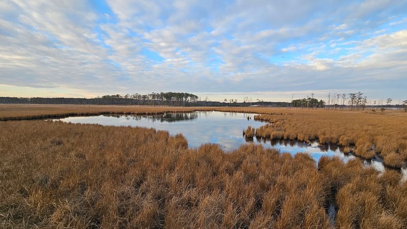 Blackwater National Wildlife Refuge Blackwater National Wildlife Refuge