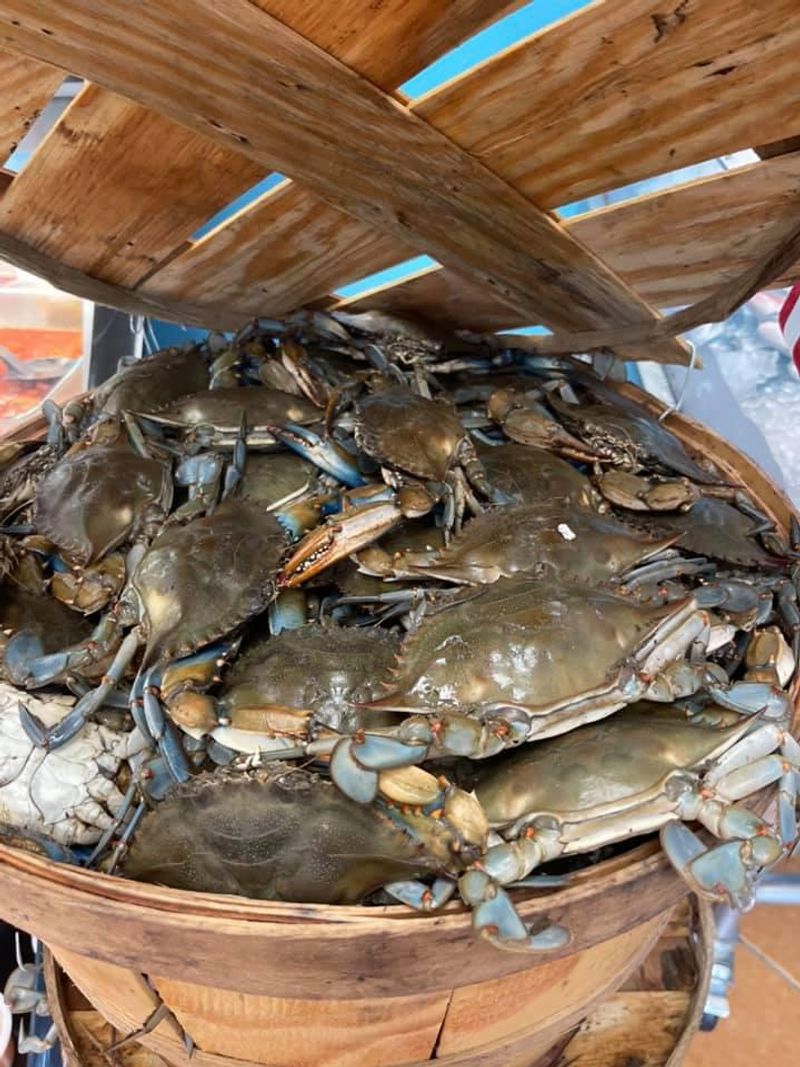 Blue Crabs, Clams and the Shellfish Corner